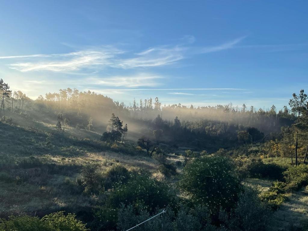 Quinta Do Eco Lejlighed Vila de Rei Eksteriør billede