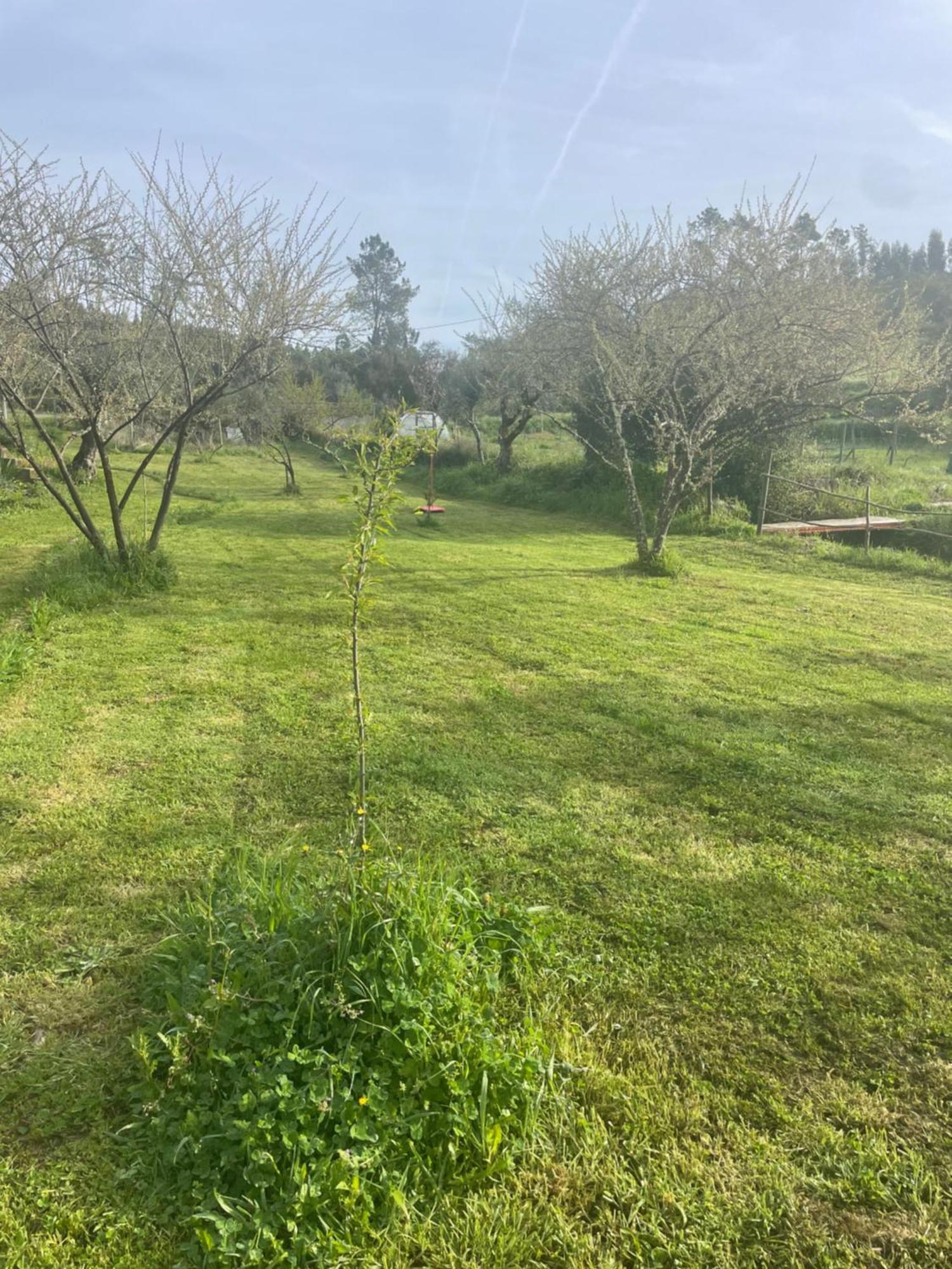 Quinta Do Eco Lejlighed Vila de Rei Eksteriør billede